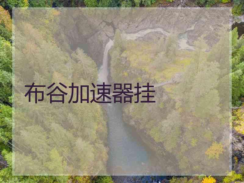 布谷加速器挂