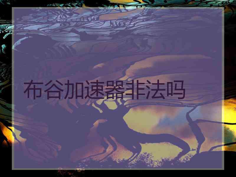布谷加速器非法吗