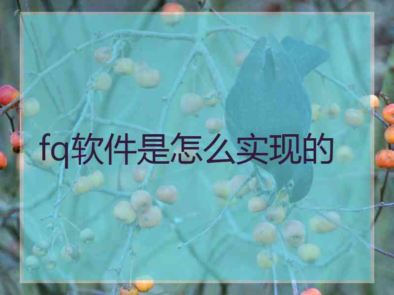 fq软件是怎么实现的