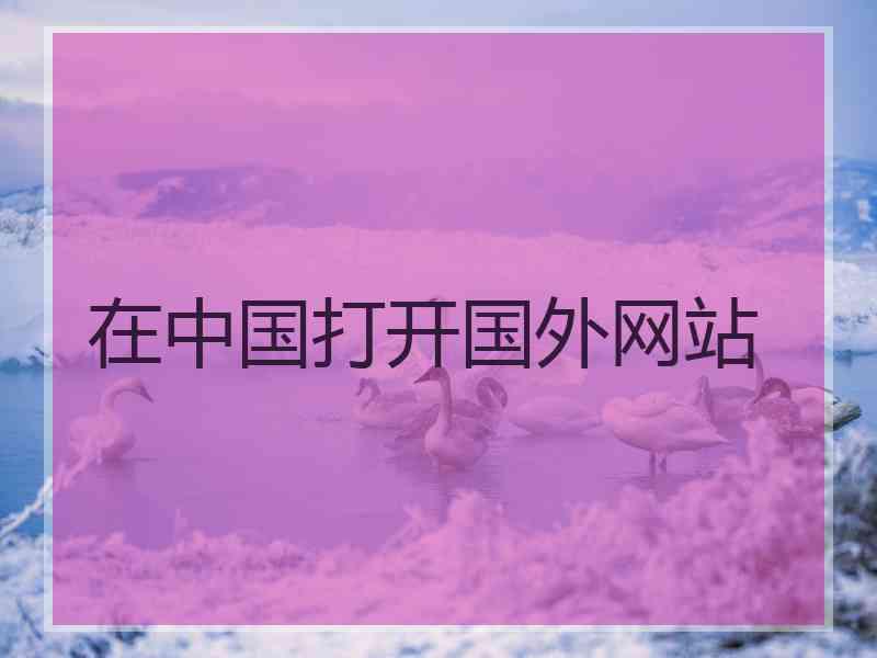 在中国打开国外网站