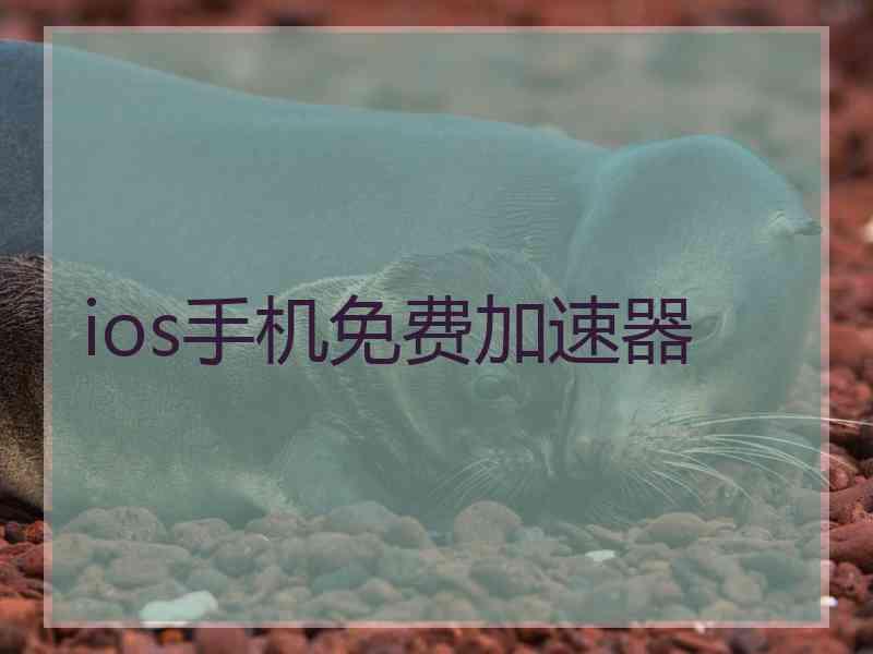 ios手机免费加速器