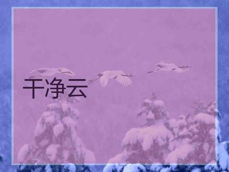 干净云