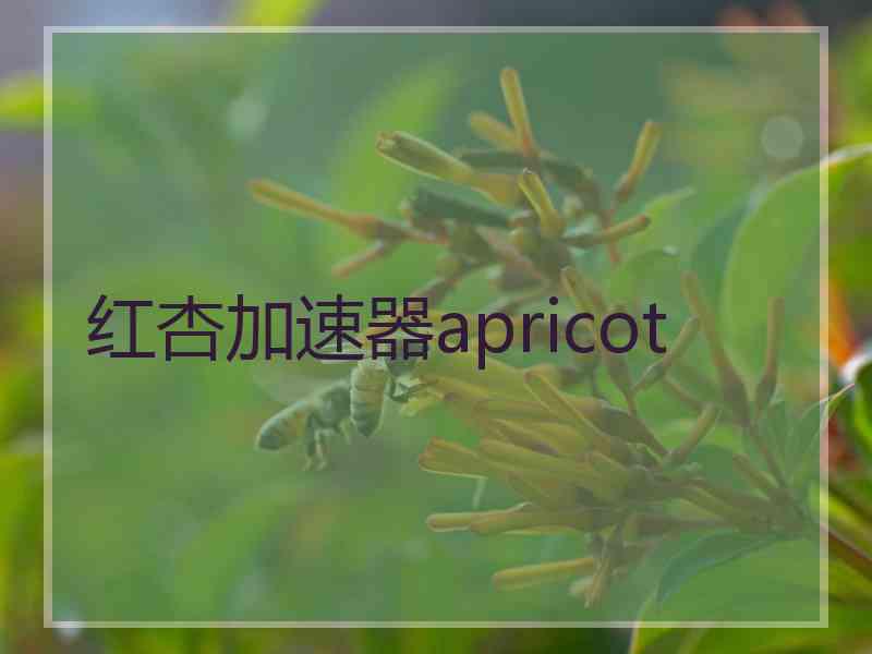红杏加速器apricot