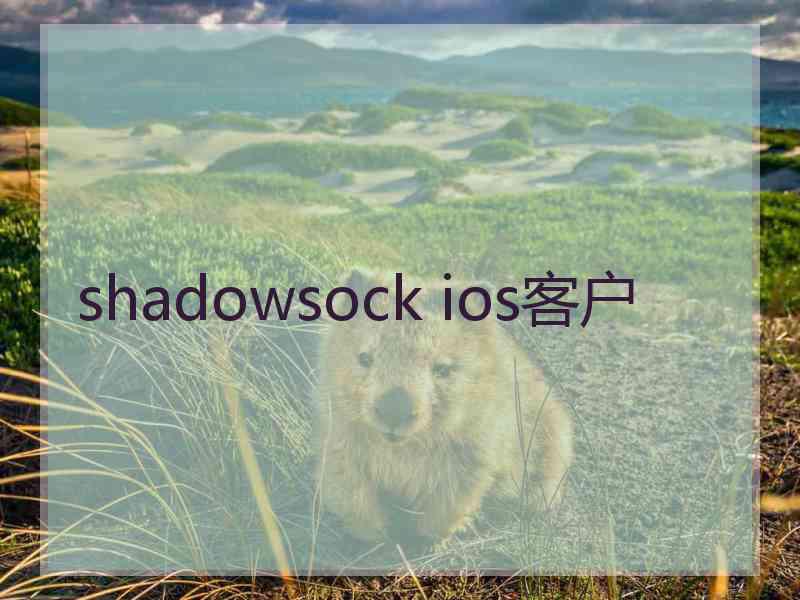 shadowsock ios客户