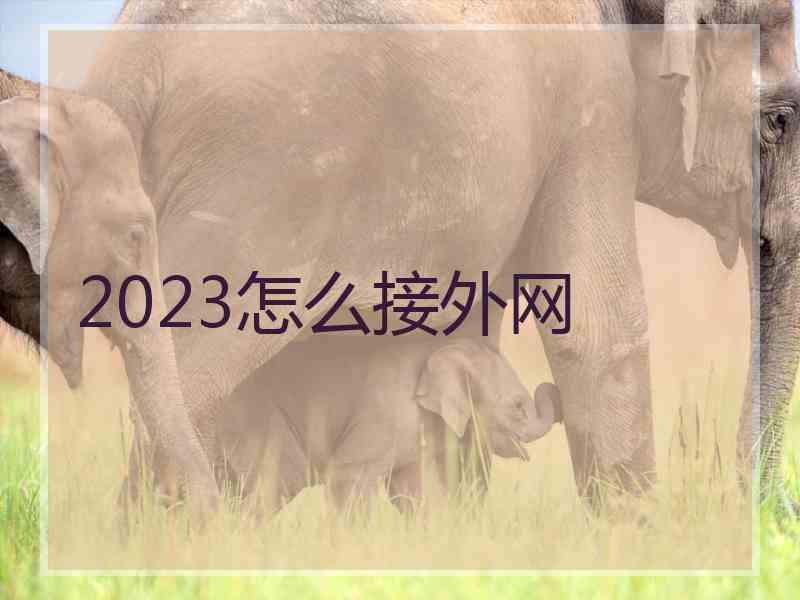 2023怎么接外网
