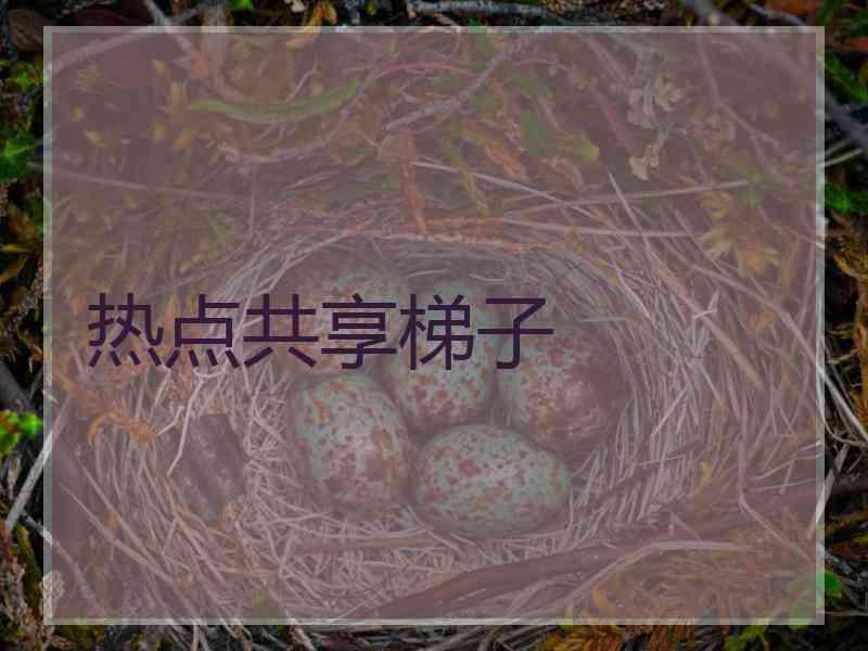 热点共享梯子