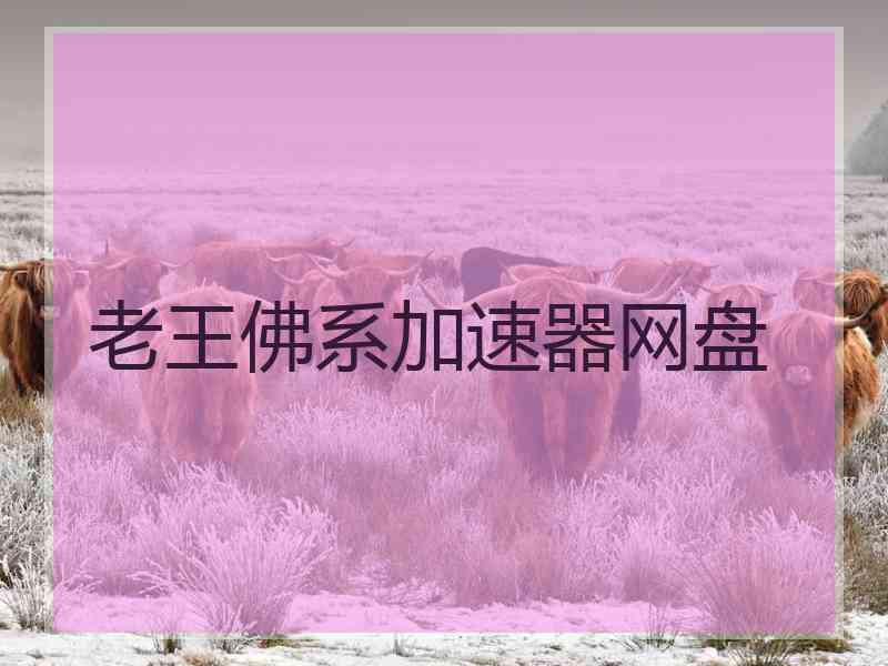 老王佛系加速器网盘