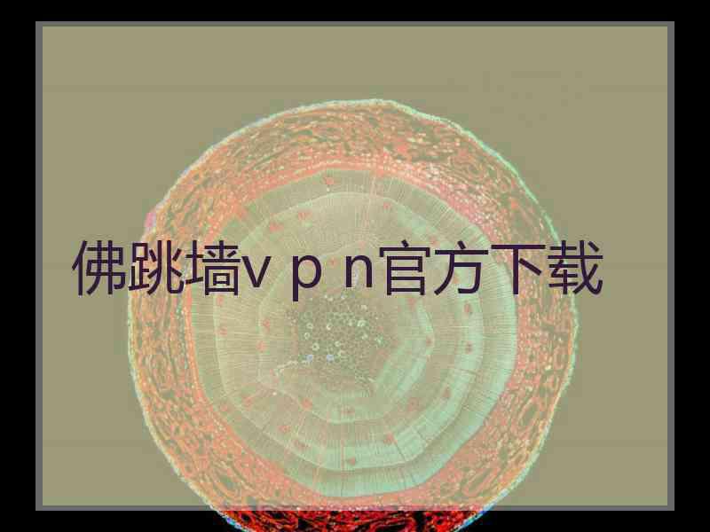 佛跳墙v p n官方下载