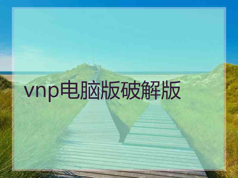 vnp电脑版破解版