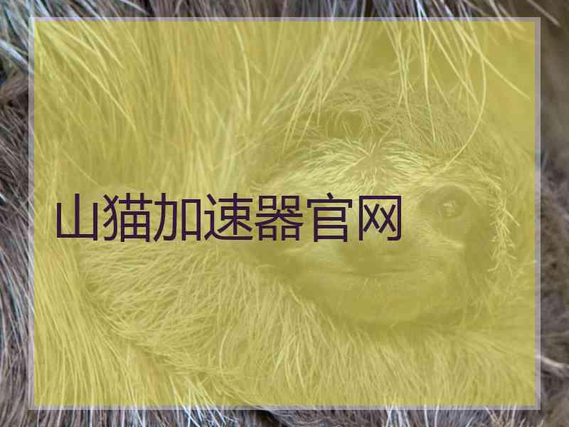 山猫加速器官网