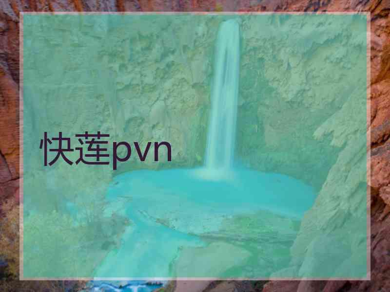 快莲pvn