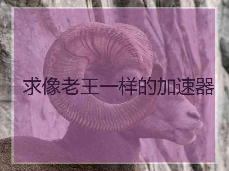 求像老王一样的加速器
