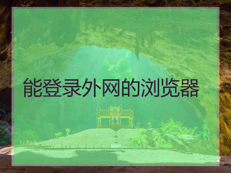 能登录外网的浏览器