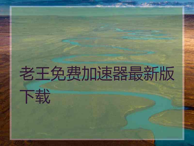 老王免费加速器最新版下载