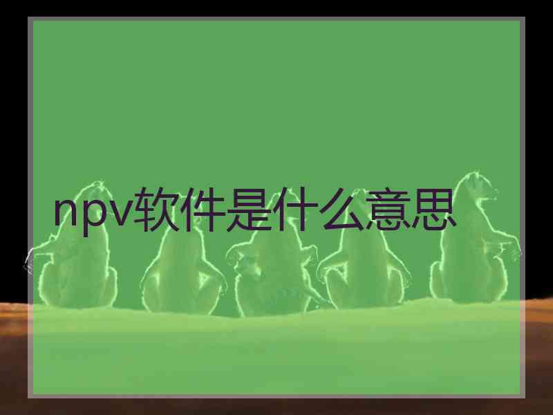npv软件是什么意思
