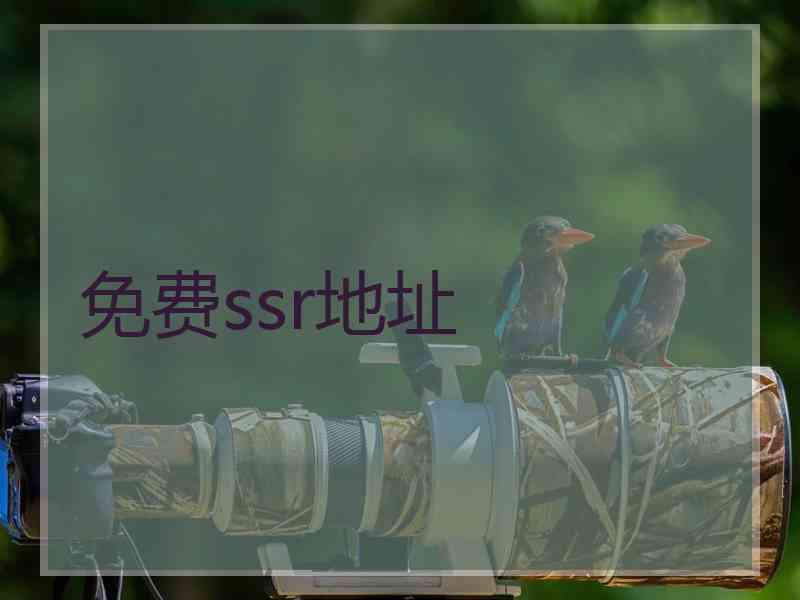 免费ssr地址