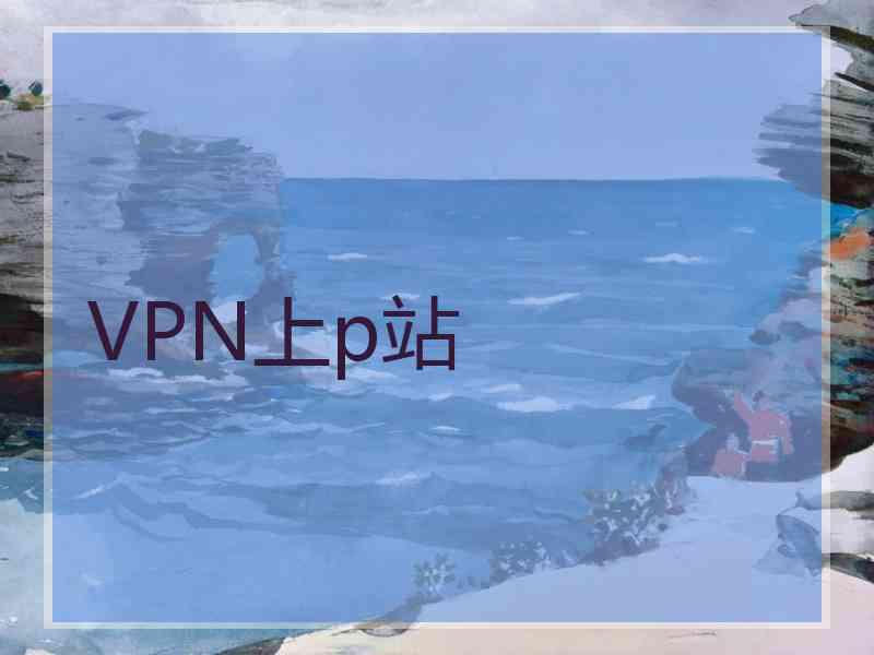 VPN上p站
