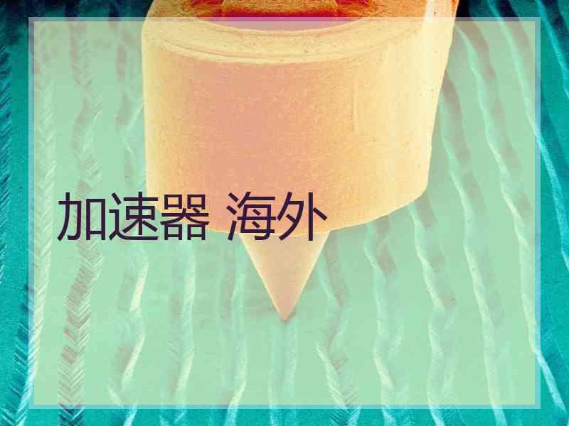 加速器 海外