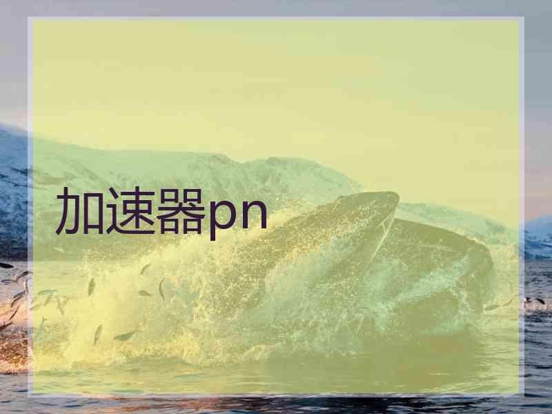 加速器pn