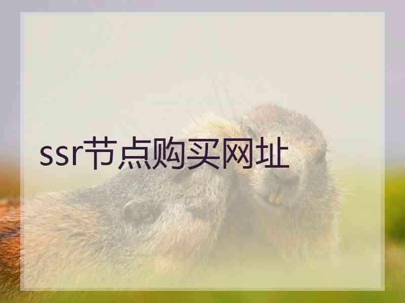 ssr节点购买网址
