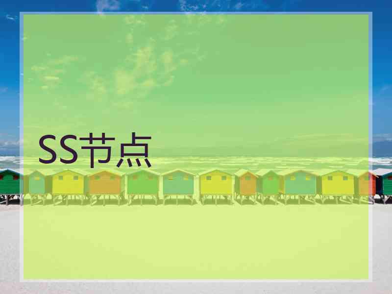 SS节点