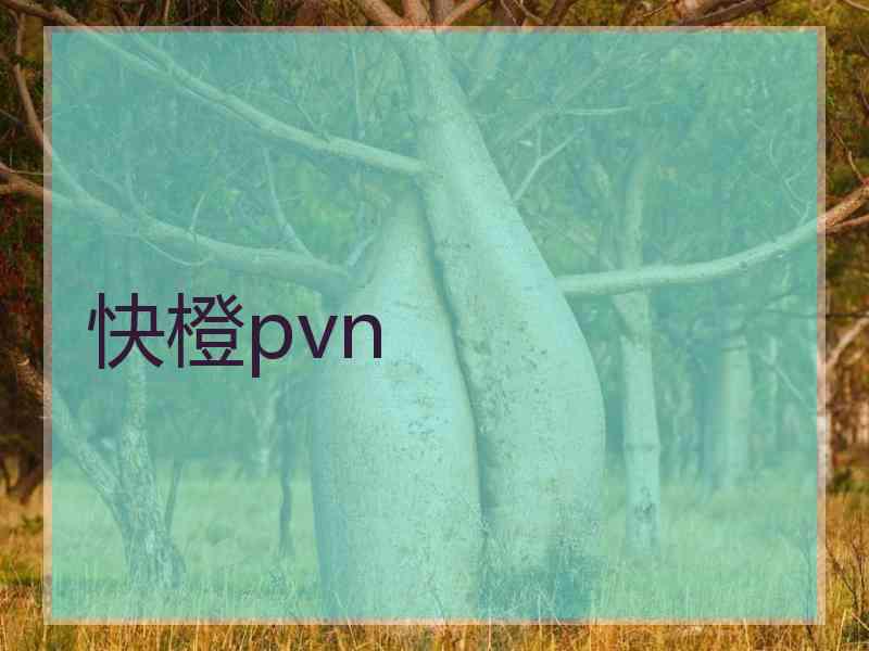 快橙pvn