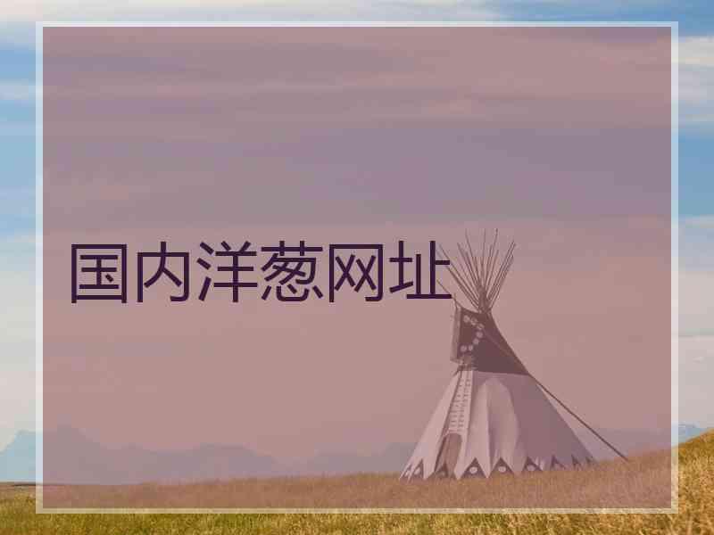 国内洋葱网址