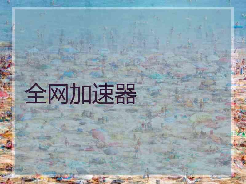 全网加速器