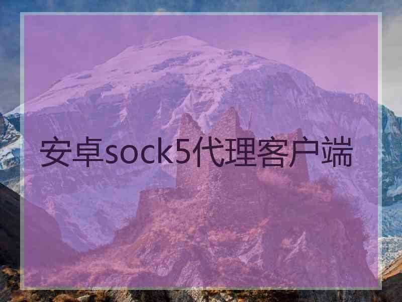 安卓sock5代理客户端