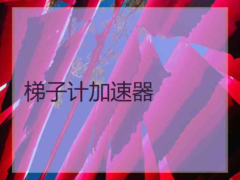 梯子计加速器