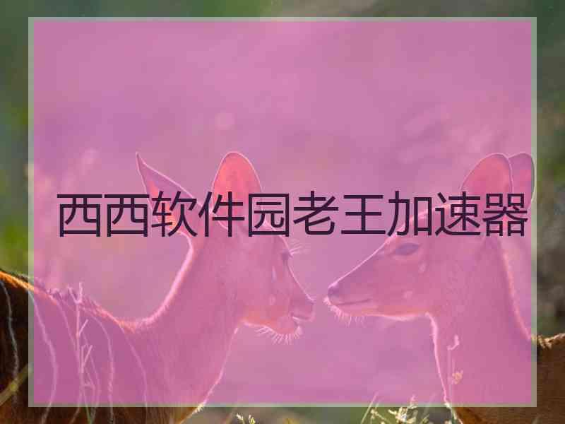 西西软件园老王加速器