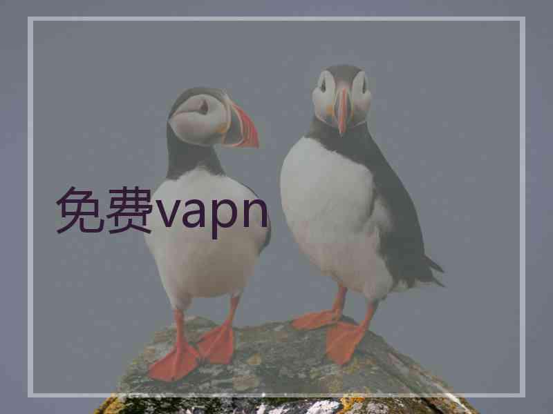 免费vapn