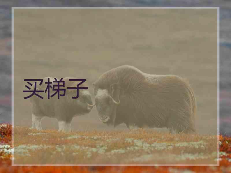 买梯子