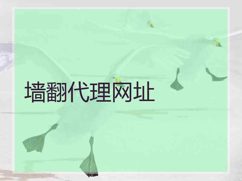 墙翻代理网址