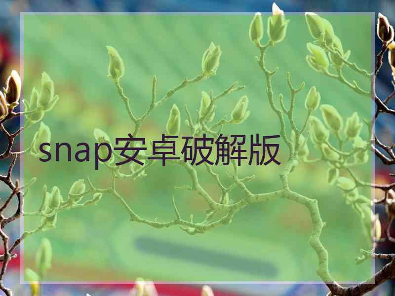 snap安卓破解版