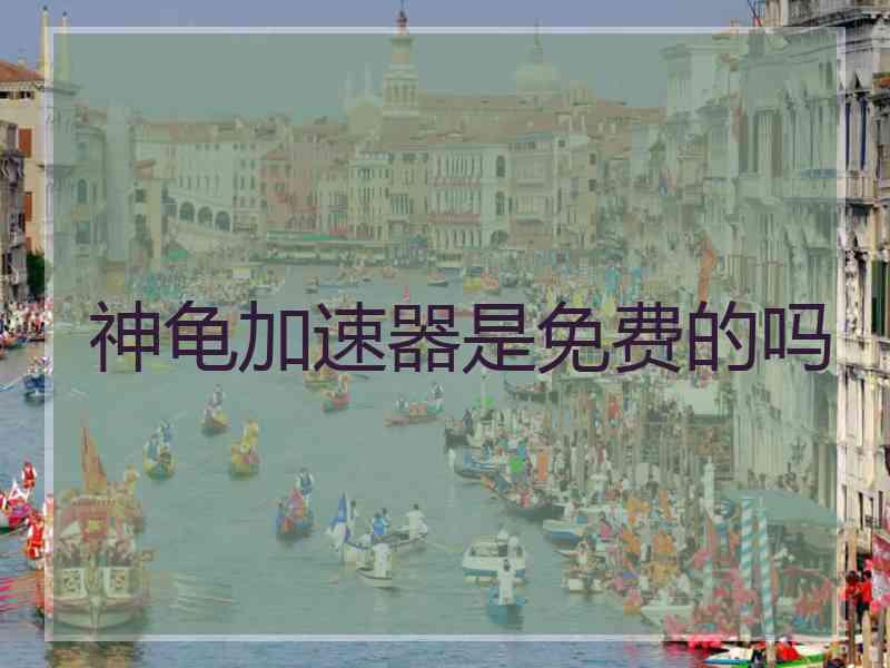 神龟加速器是免费的吗