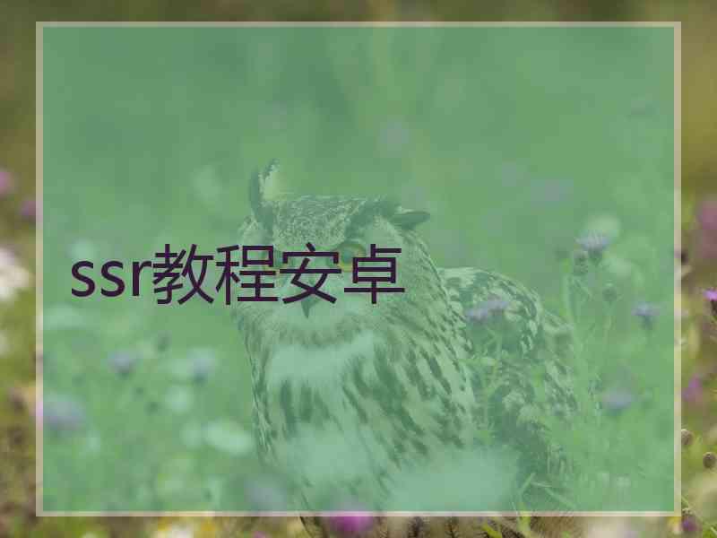 ssr教程安卓