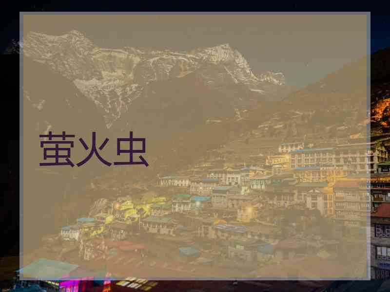 萤火虫