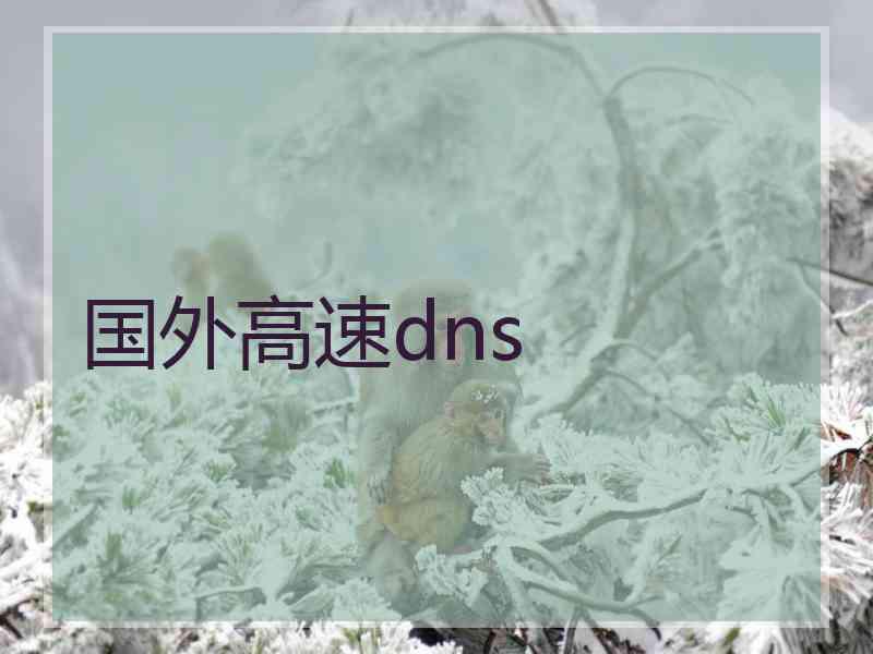 国外高速dns