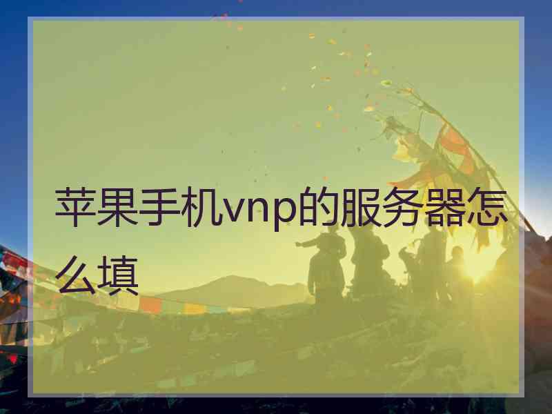 苹果手机vnp的服务器怎么填