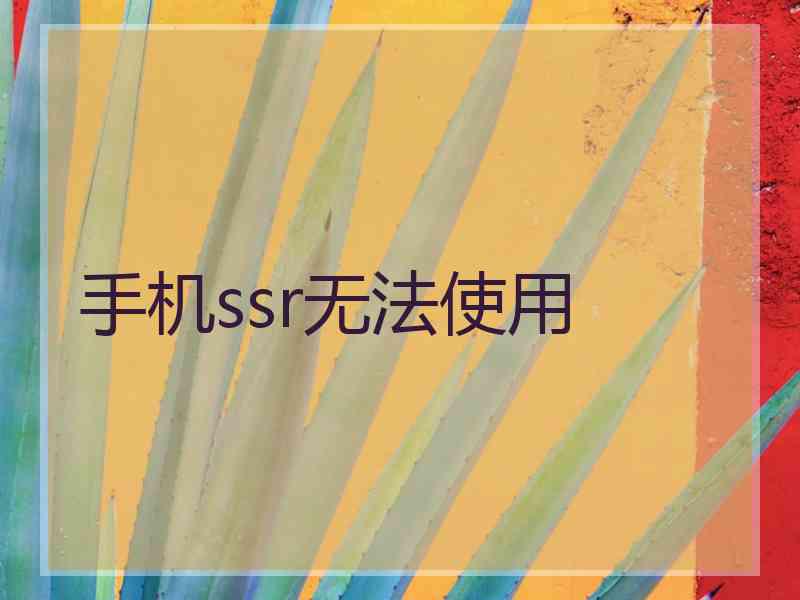 手机ssr无法使用