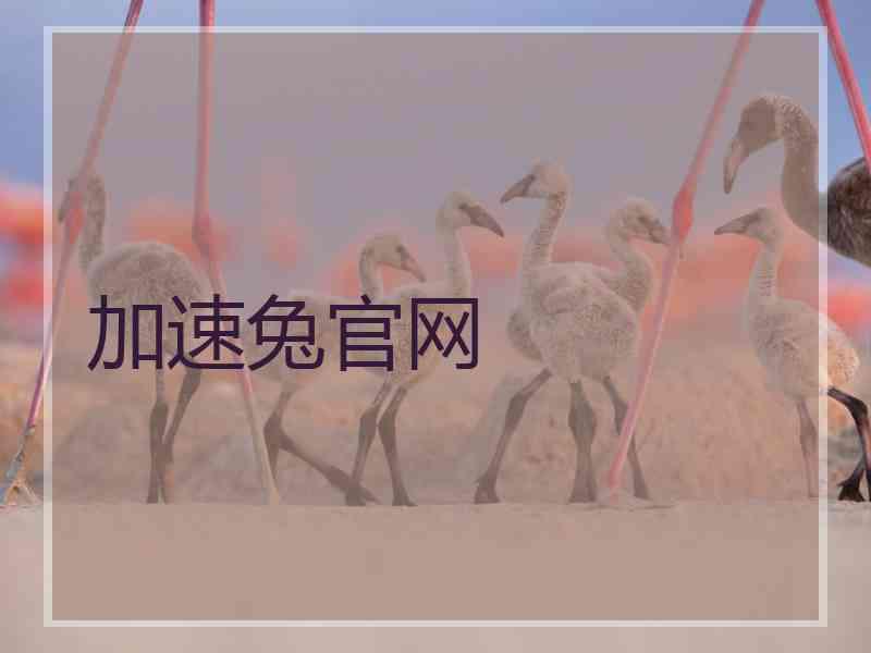 加速兔官网