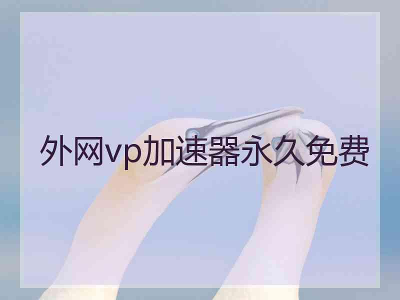 外网vp加速器永久免费