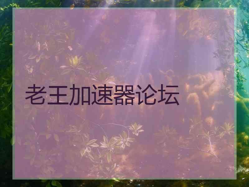 老王加速器论坛