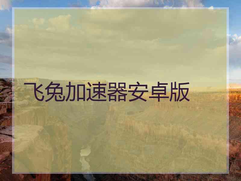 飞兔加速器安卓版