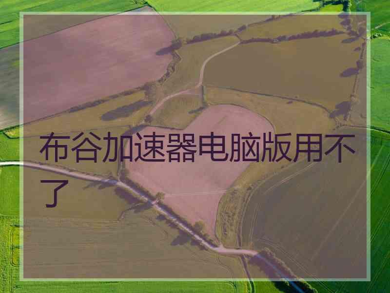 布谷加速器电脑版用不了