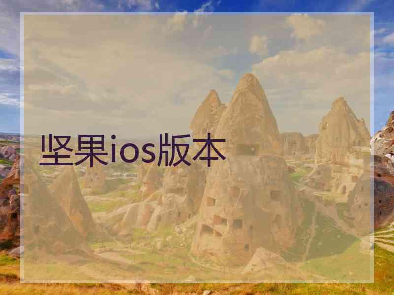 坚果ios版本