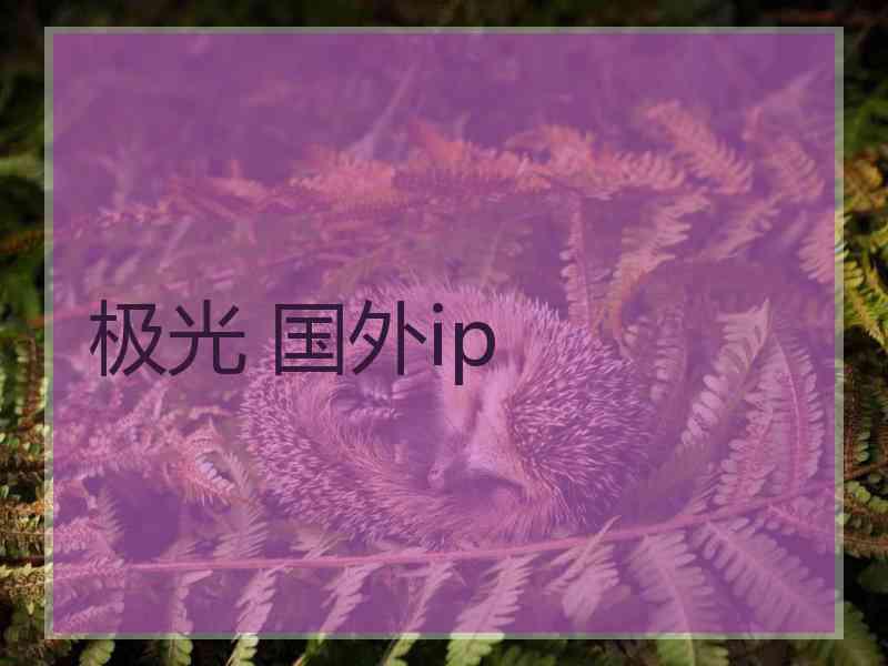 极光 国外ip