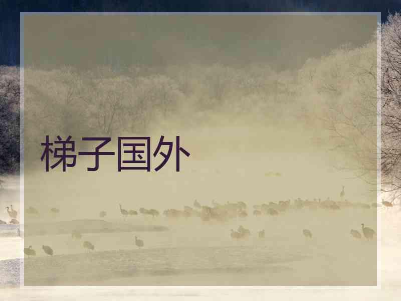 梯子国外