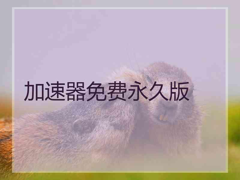 加速器免费永久版
